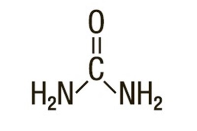 Figure 1 (Urea Image 1)